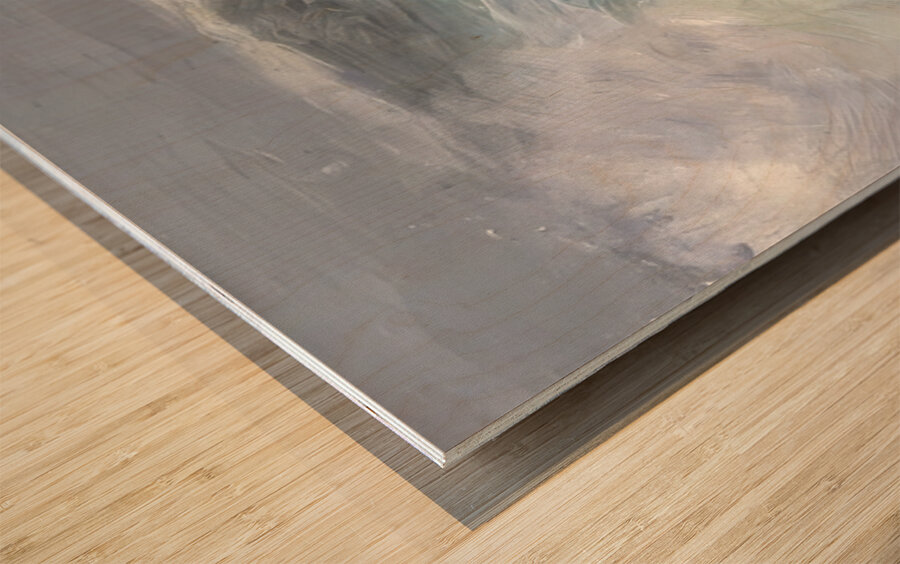 George Bellows 6 Wood print