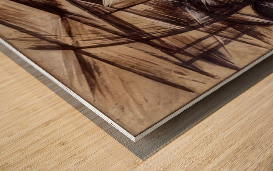 Artwork by Giacomo Balla  11 Wood print