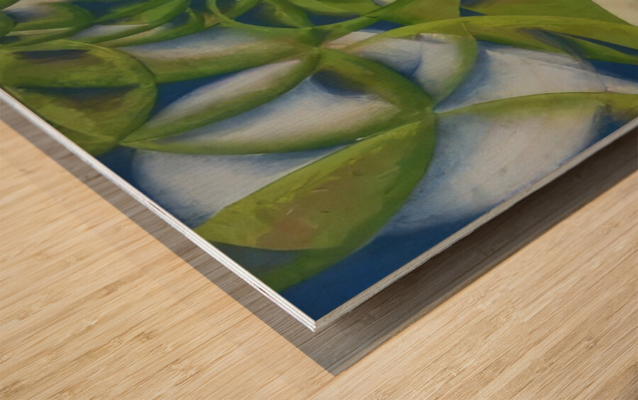 Artwork by Giacomo Balla  26 Wood print