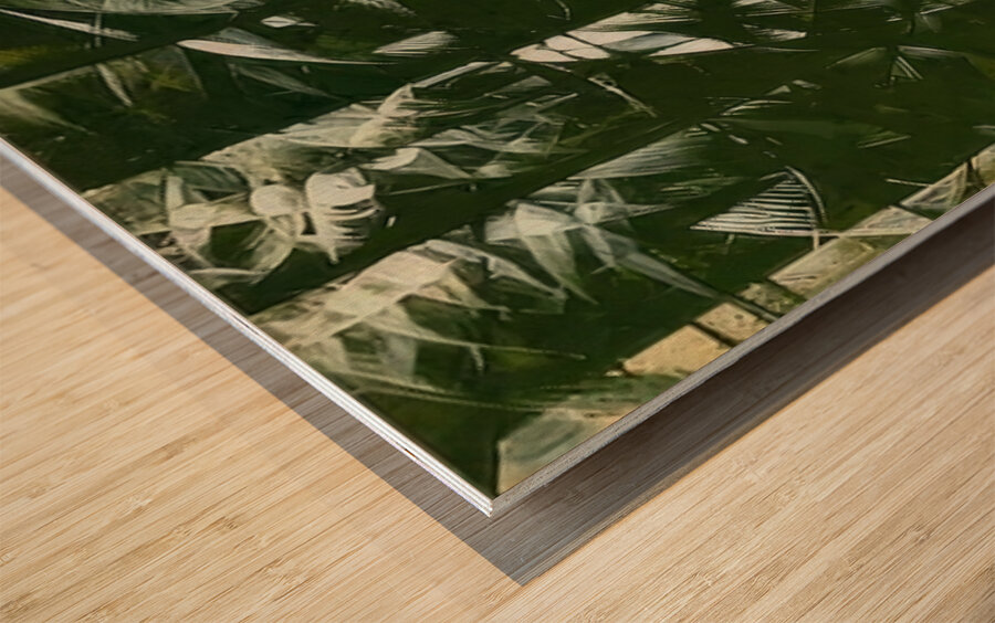 Artwork by Giacomo Balla  30 Wood print