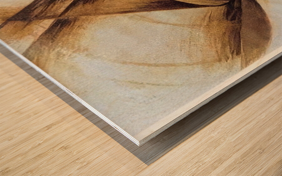 Artwork by Giacomo Balla  44 Wood print