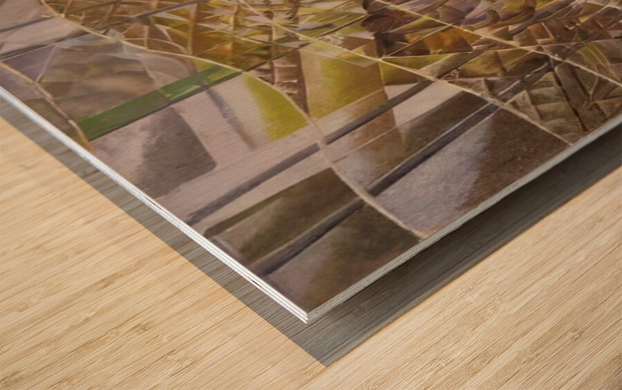 Artwork by Giacomo Balla  5 Wood print