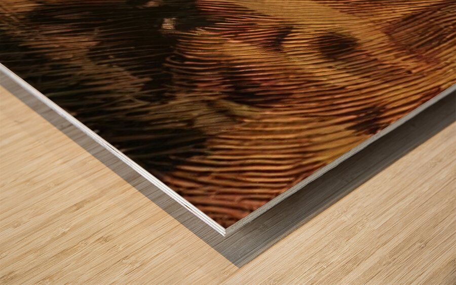 Artwork by Giacomo Balla  30 Wood print