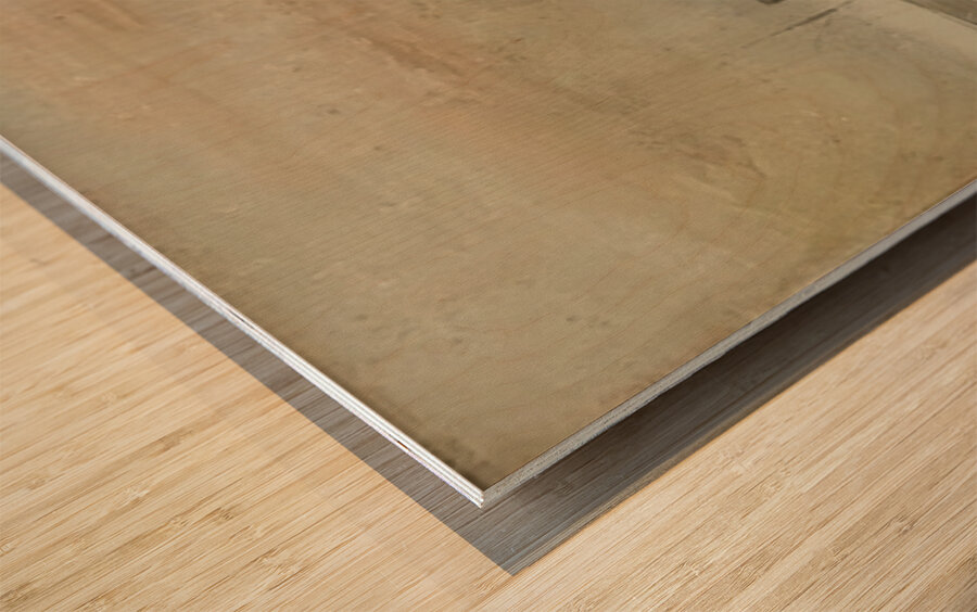 Edouard Manet  17 Wood print