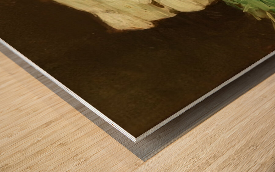 Edouard Manet  47 Wood print