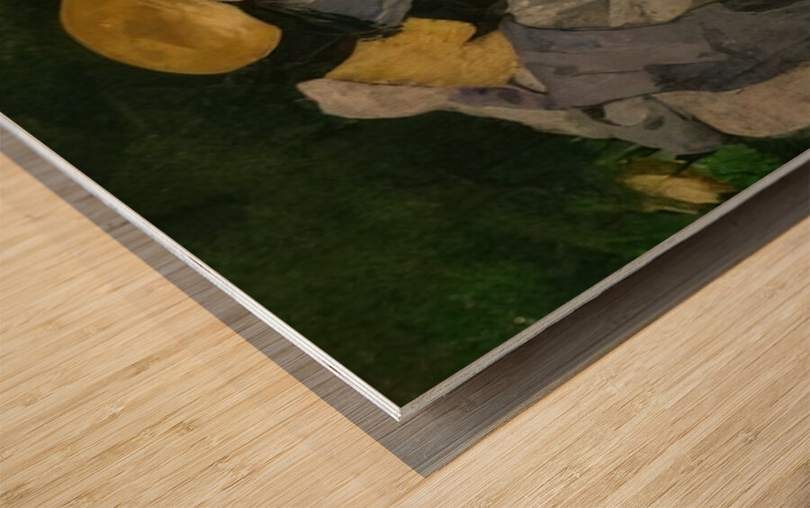 Edouard Manet  48 Wood print