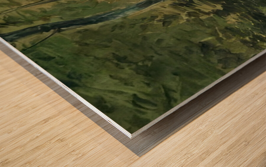 Edouard Manet  53 Wood print