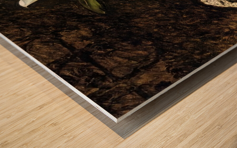 Art by Auguste Renoir 11 Wood print