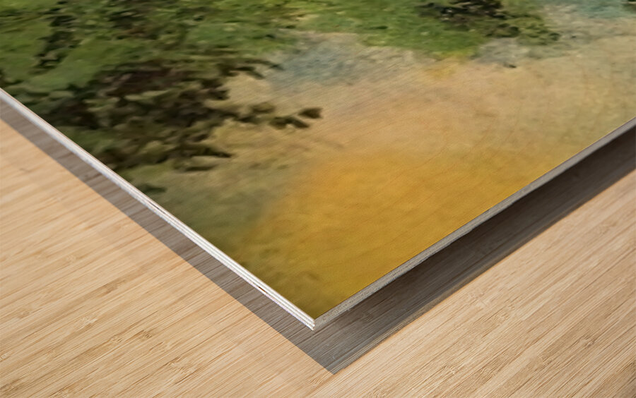 Art by Auguste Renoir 23 Wood print