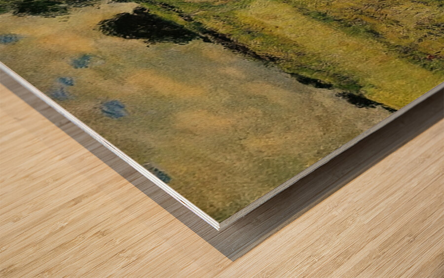 Art by Auguste Renoir 29 Wood print