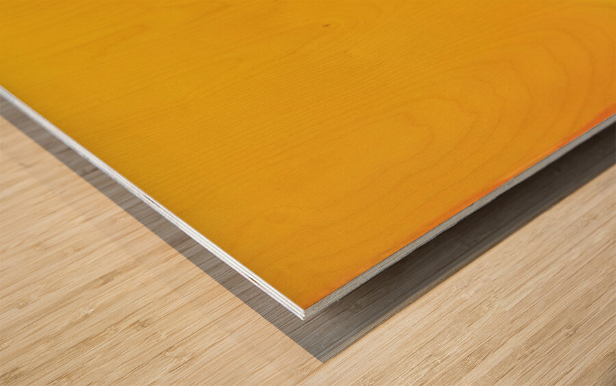 Art by Mark Rothko 5 Wood print