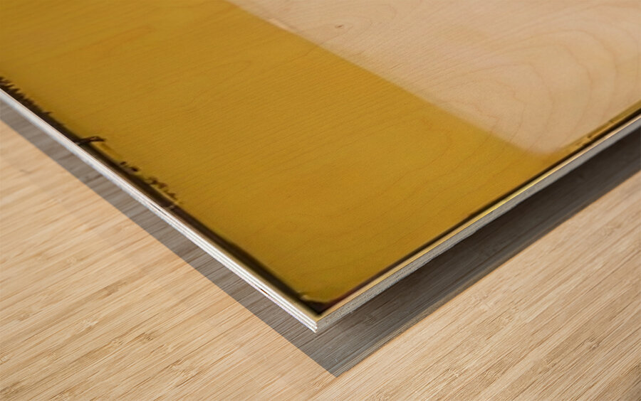 Mark Rothko 9 Wood print