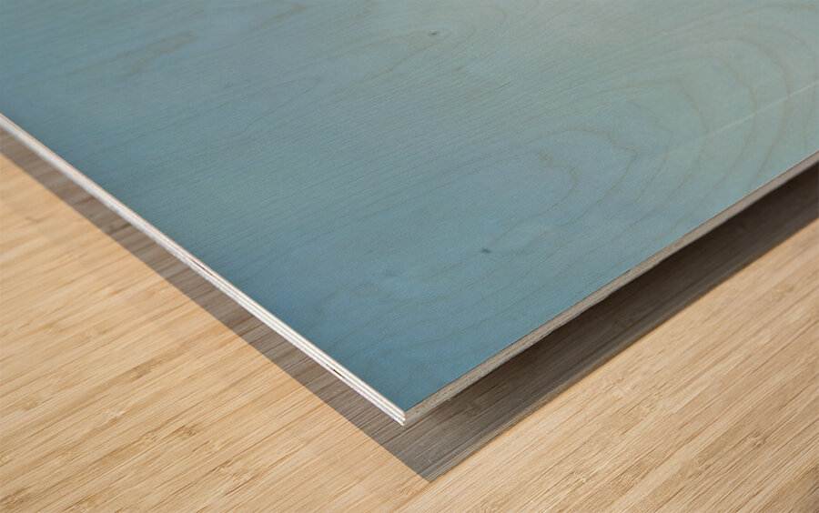 Mark Rothko 27 Wood print