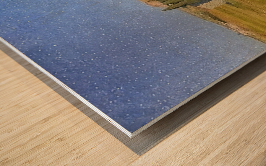 Achille Lauge Art 17 Wood print