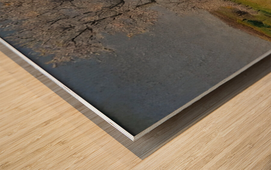 Achille Lauge Art 22 Wood print