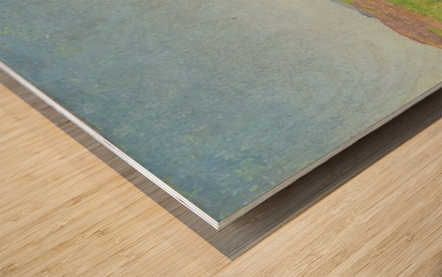 Achille Lauge Art 29 Wood print