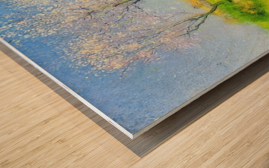 Achille Lauge Art 49 Wood print