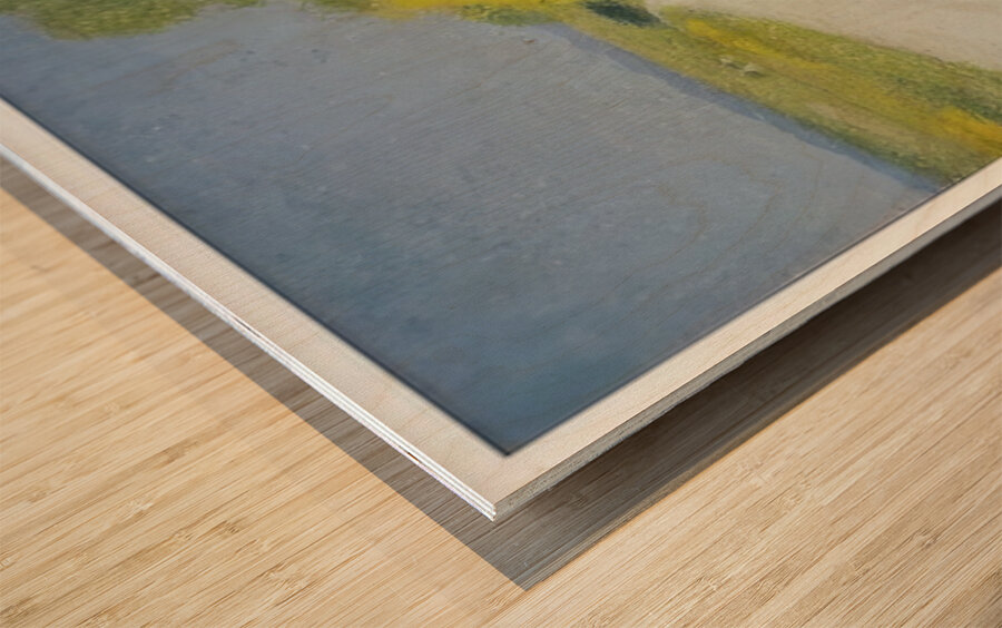 Achille Lauge Art 9 Wood print