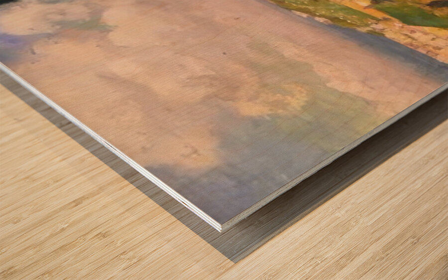 Albert Marquet  2 Wood print