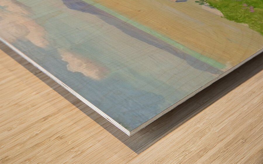 Albert Marquet  21 Wood print