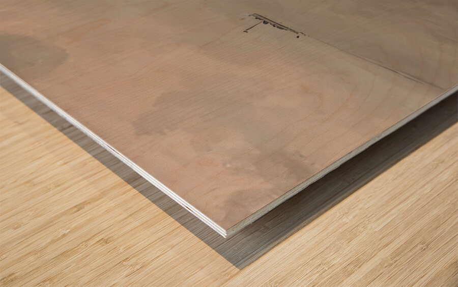 Albert Marquet  34 Wood print