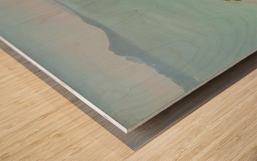 Albert Marquet  40 Wood print