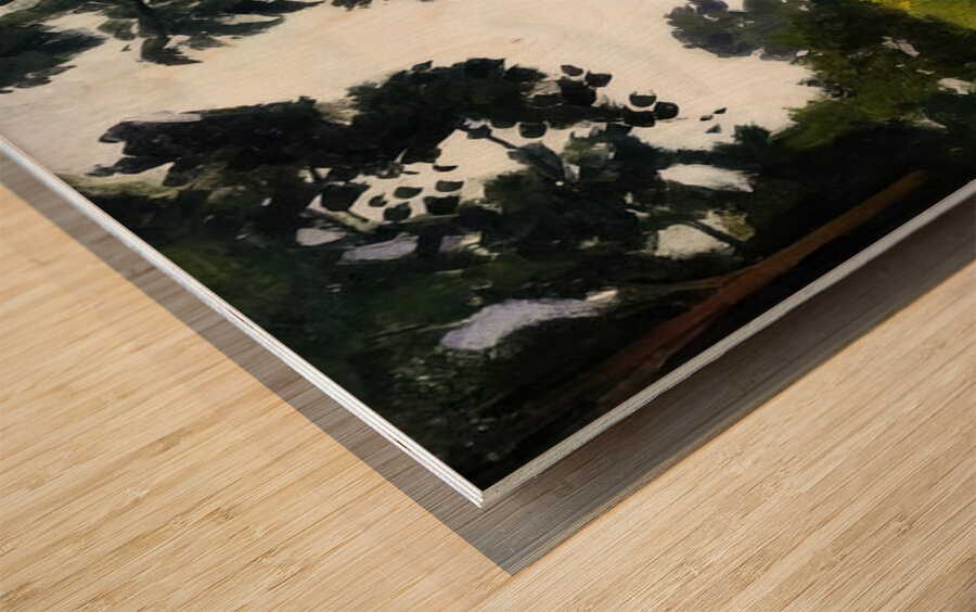 Albert Marquet  57 Impression sur bois