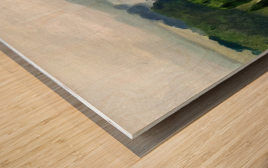 Albert Marquet  60 Wood print