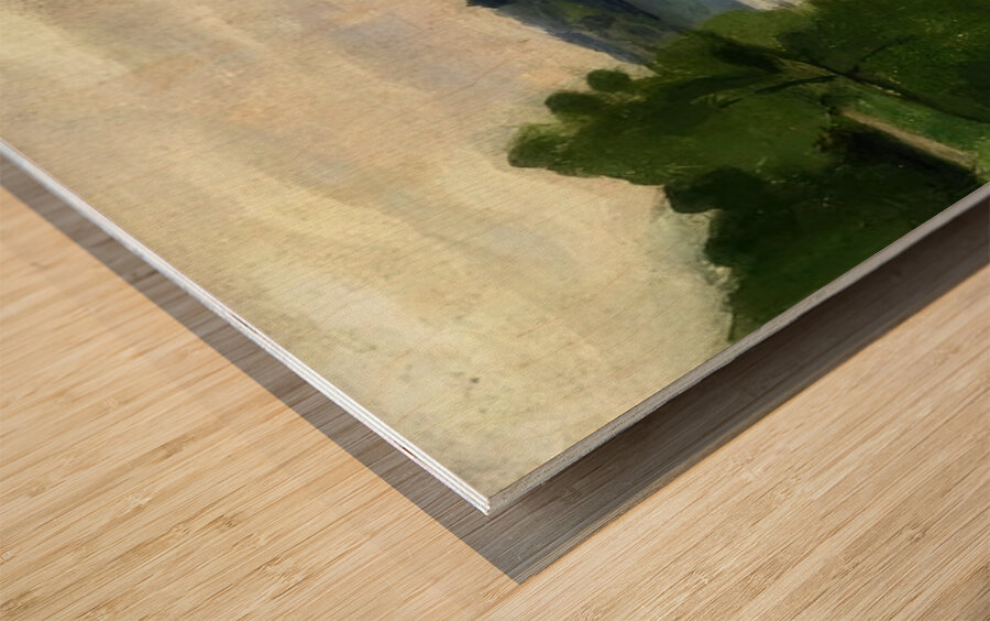 Albert Marquet  75 Wood print