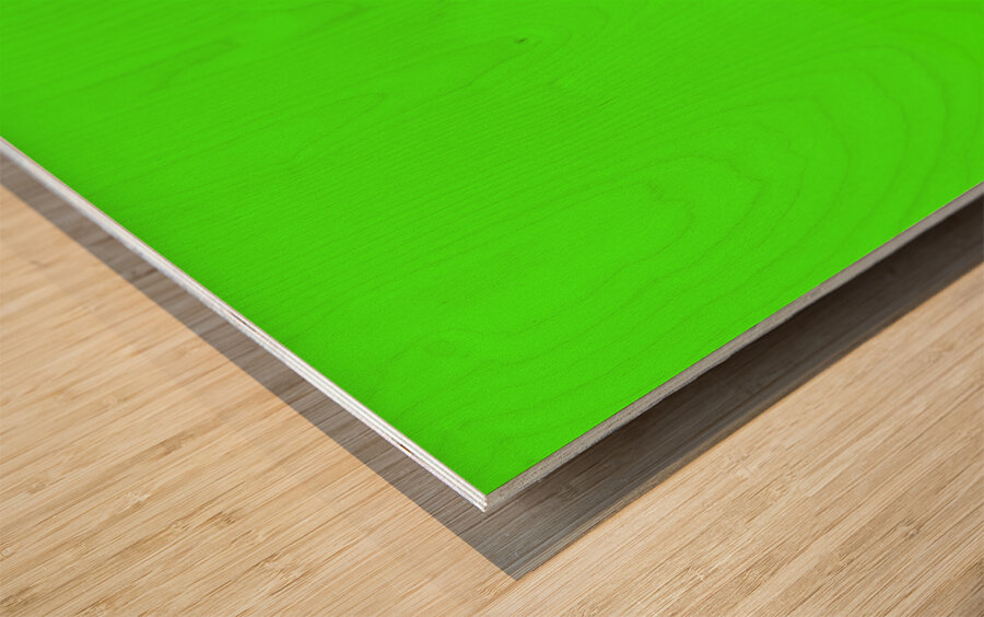 Albert Marquet  18 Wood print