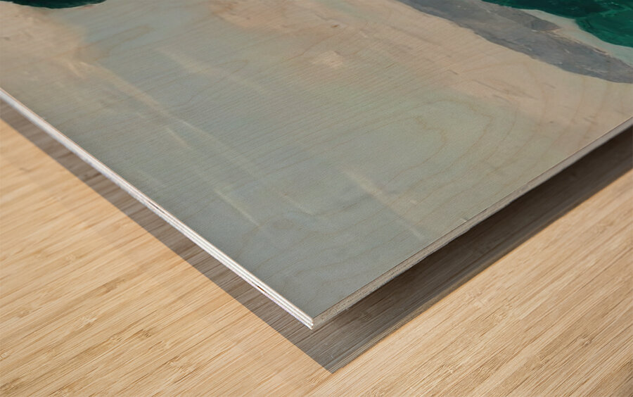 Albert Marquet  25 Wood print