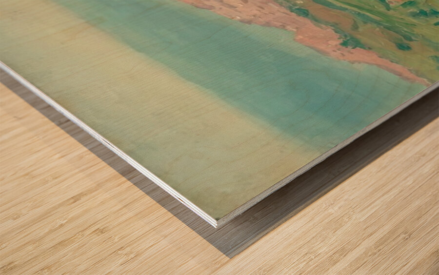 Albert Marquet  32 Wood print