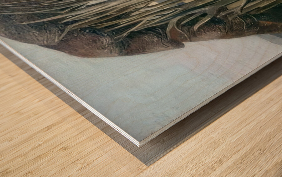 Paul Nash 31 Wood print