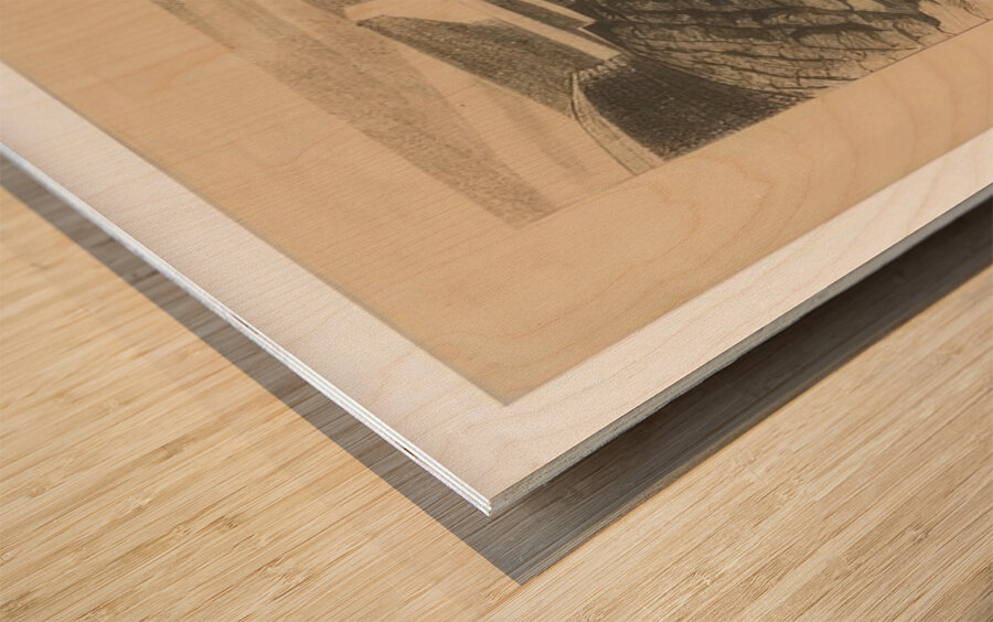 Paul Nash 43 Wood print