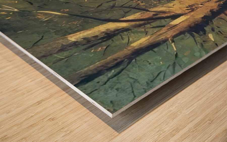 Paul Nash 54 Wood print