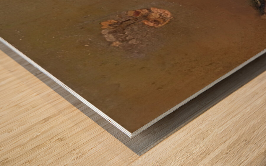 Paul Nash 75 Wood print