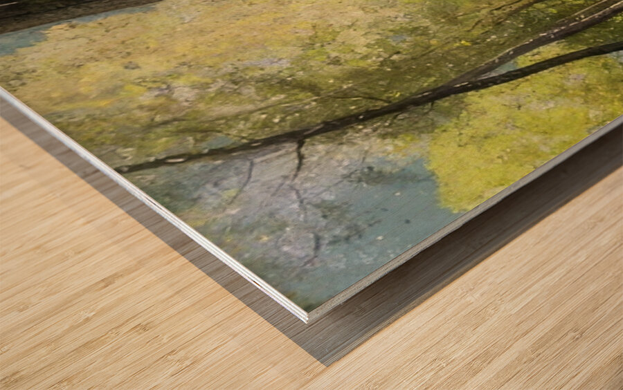 Odilon Redon 10 Wood print