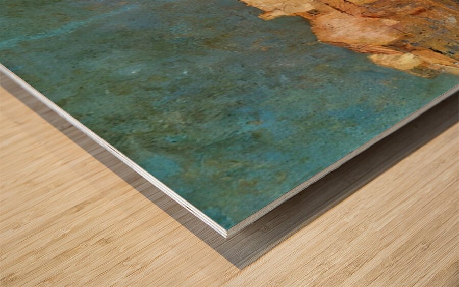 Odilon Redon 13 Wood print