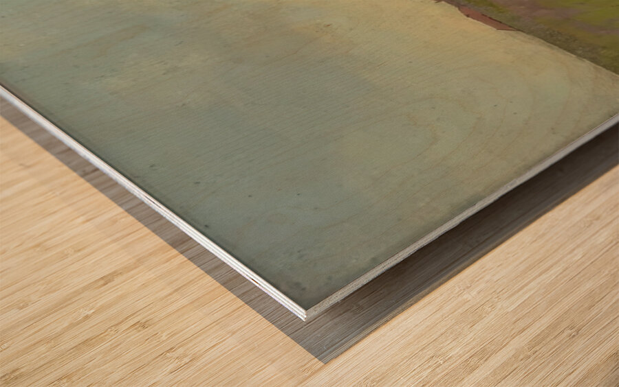 Odilon Redon 14 Wood print