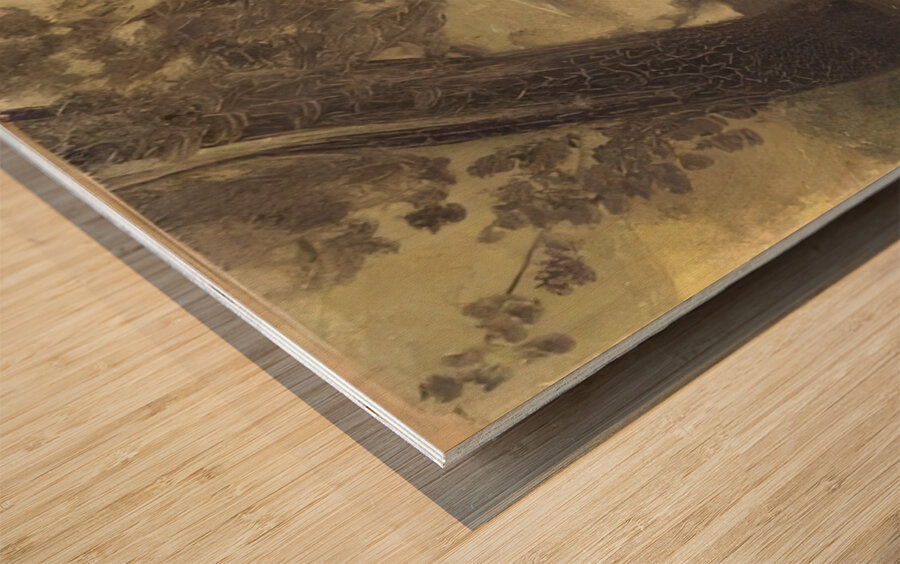 Odilon Redon 27 Wood print