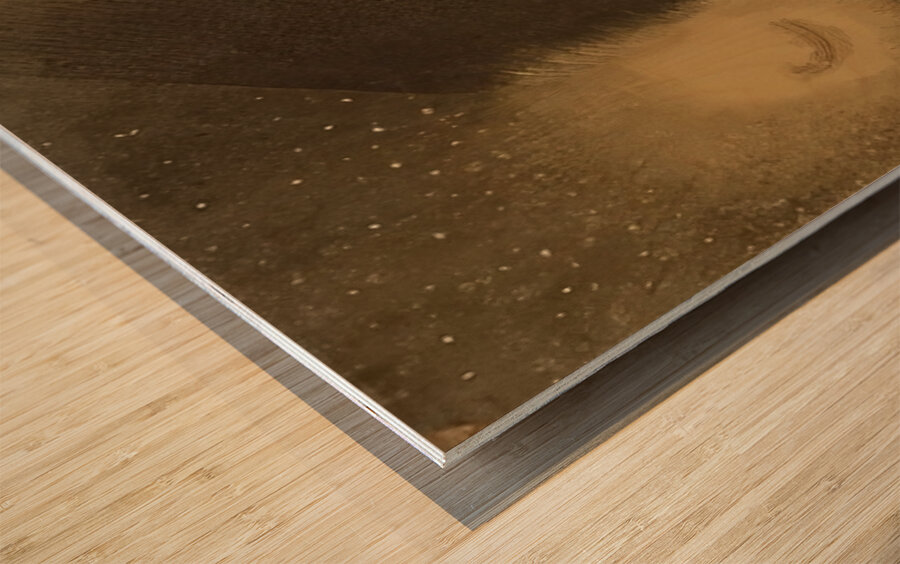 Odilon Redon 32 Wood print