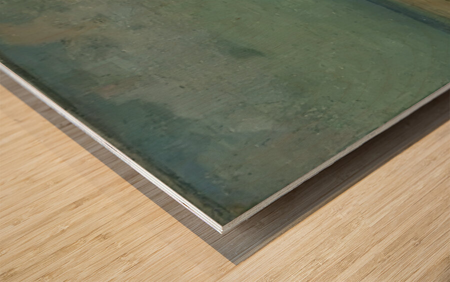 Odilon Redon 33 Wood print