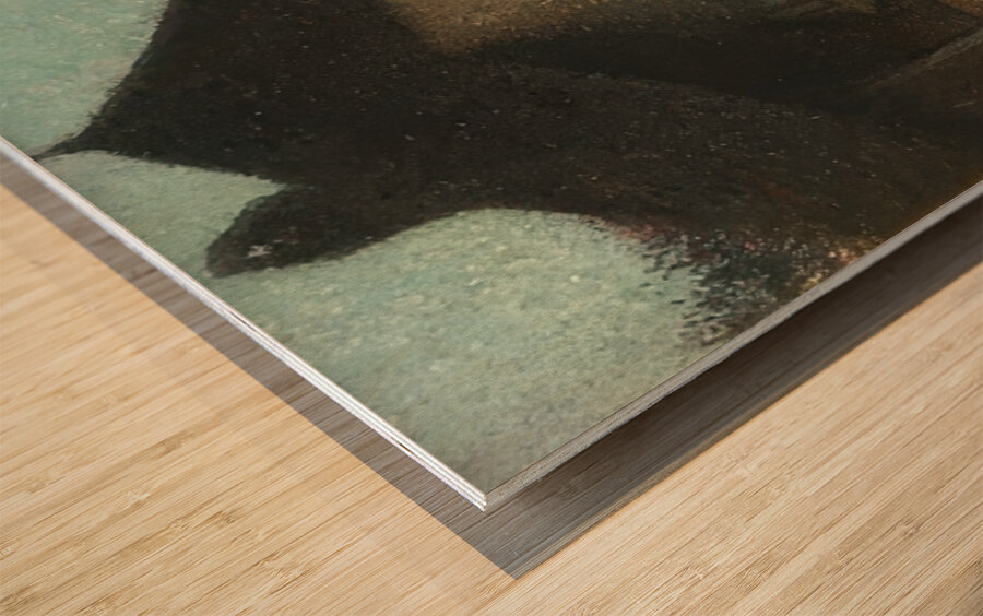  Art by Henri Martin 37 Wood print