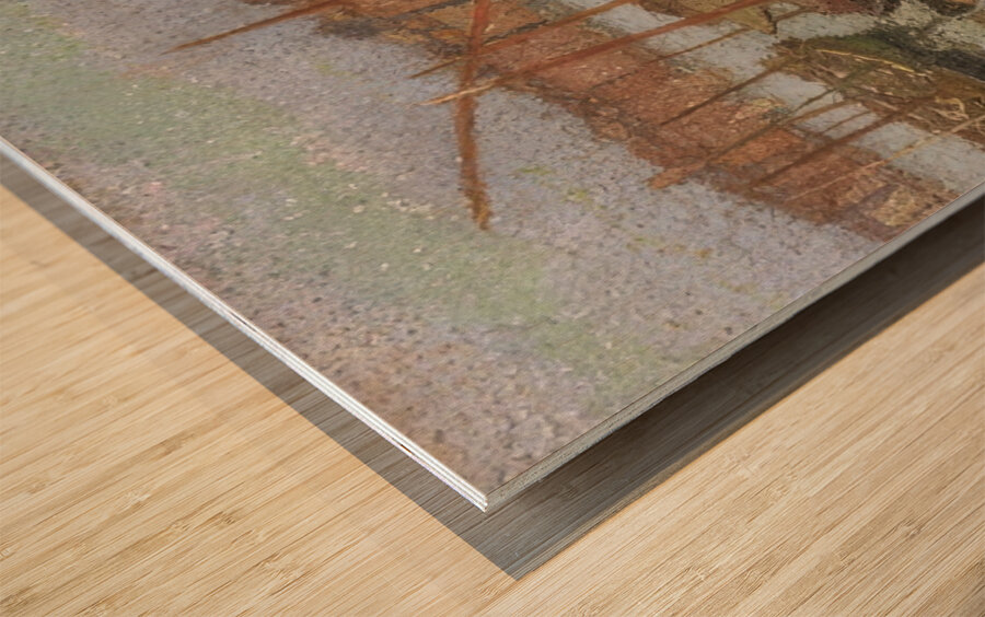  Art by Henri Martin 44 Wood print