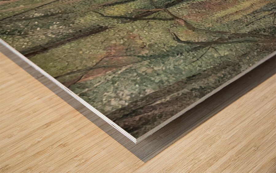  Art by Henri Martin 67 Wood print