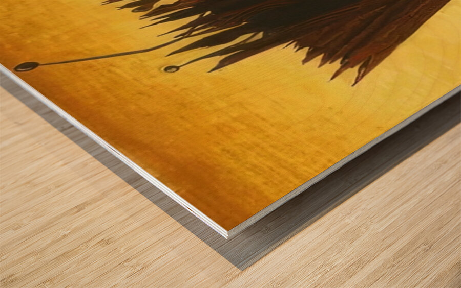 Max Ernst 4 Wood print