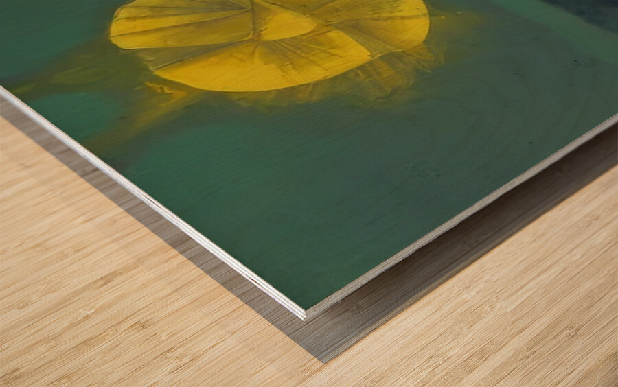 Max Ernst 30 Wood print