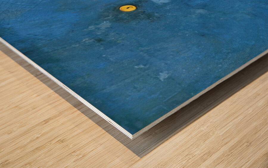 Max Ernst 24 Wood print