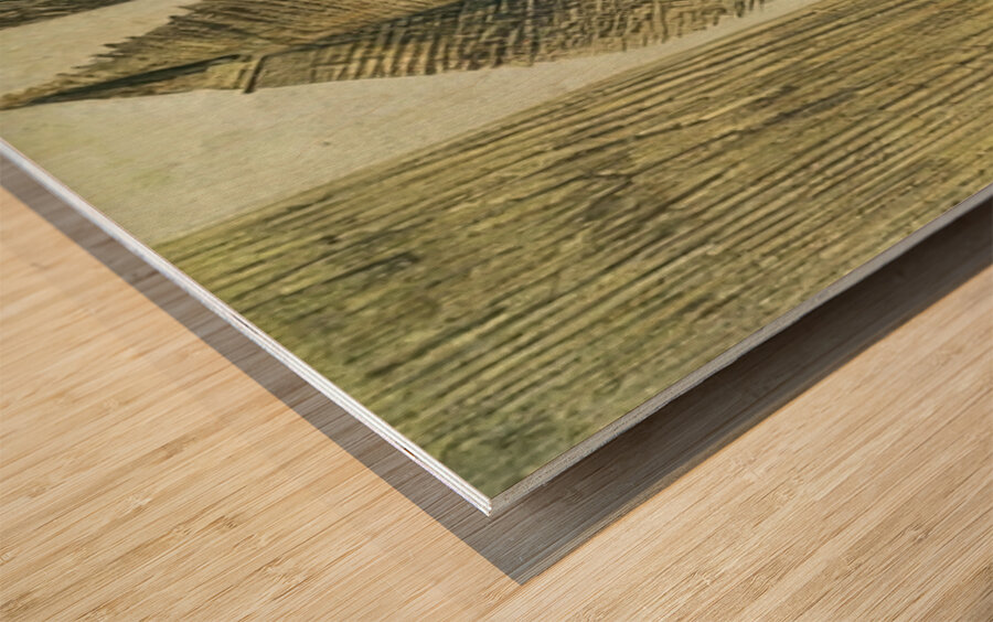 Max Ernst 28 Wood print