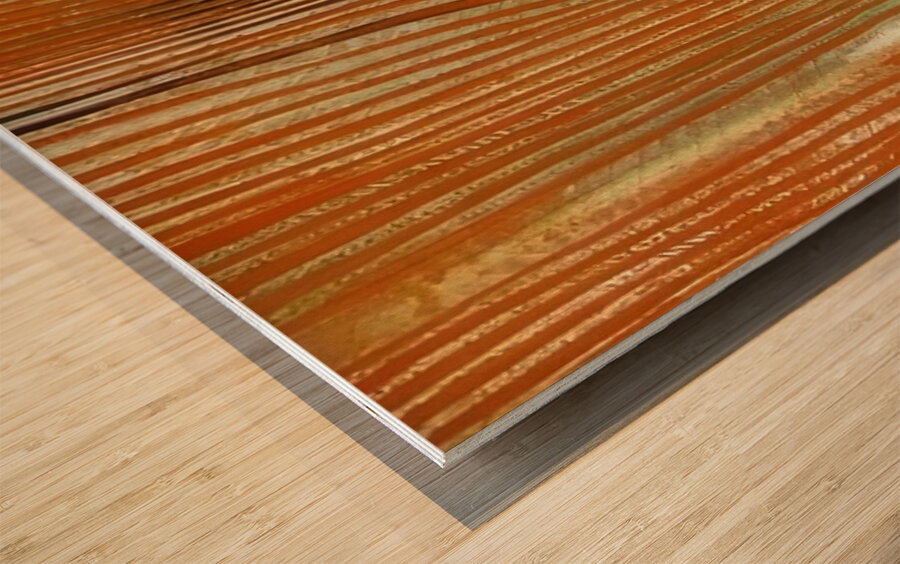 Max Ernst 50 Wood print